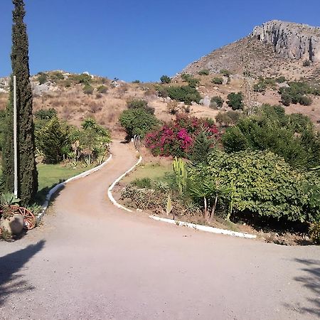 Finca Santa Matilde มาลากา ภายนอก รูปภาพ