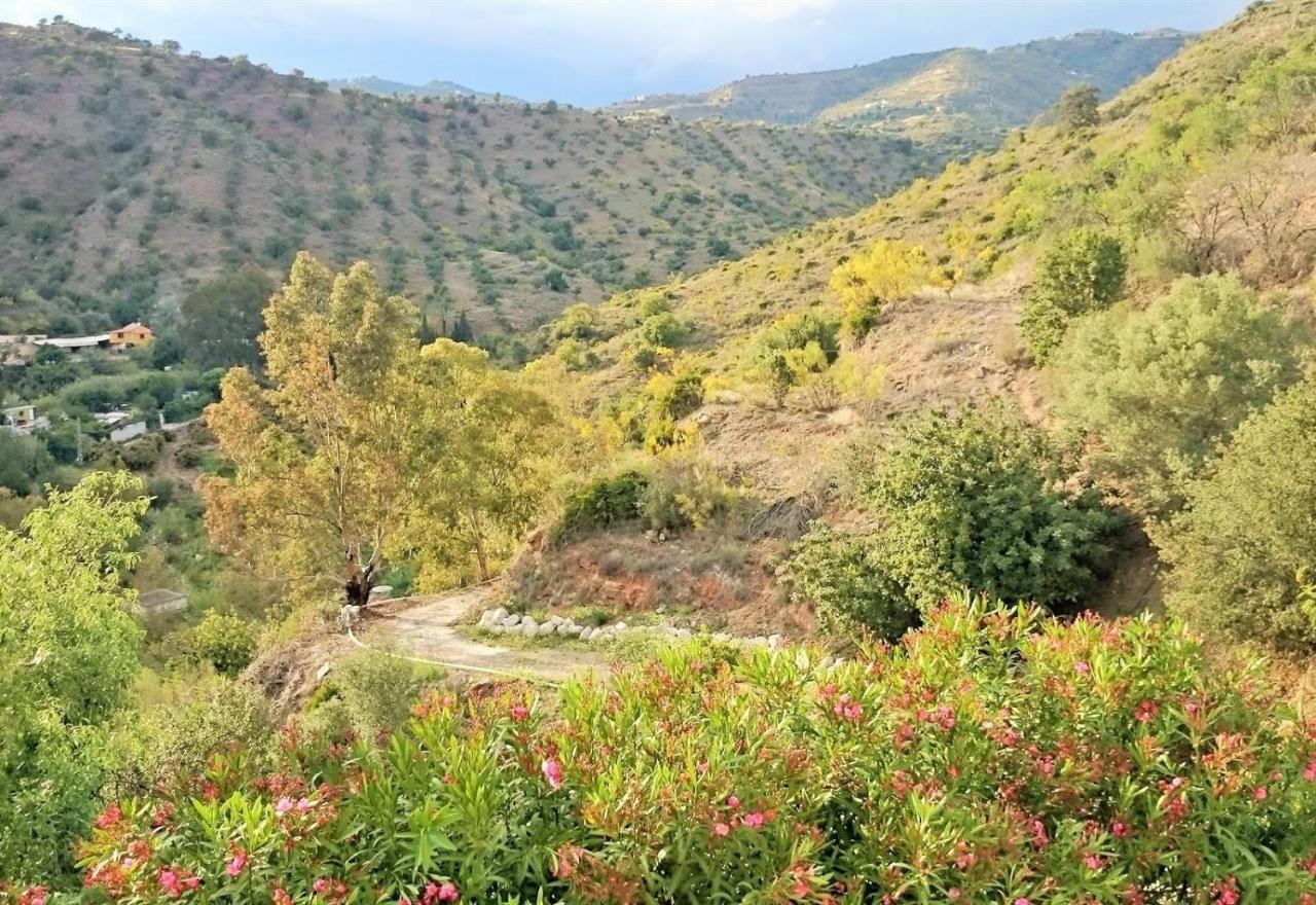 Finca Santa Matilde มาลากา ภายนอก รูปภาพ