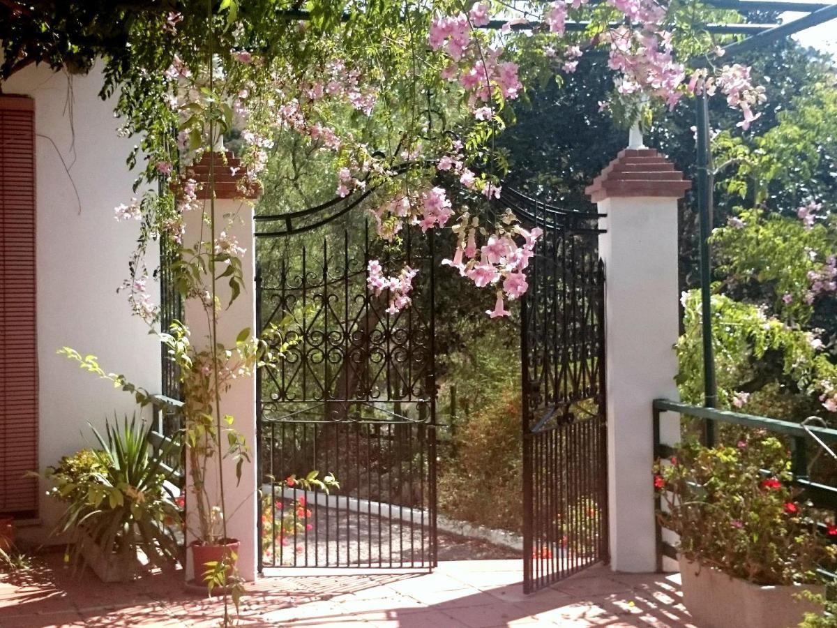 Finca Santa Matilde มาลากา ภายนอก รูปภาพ