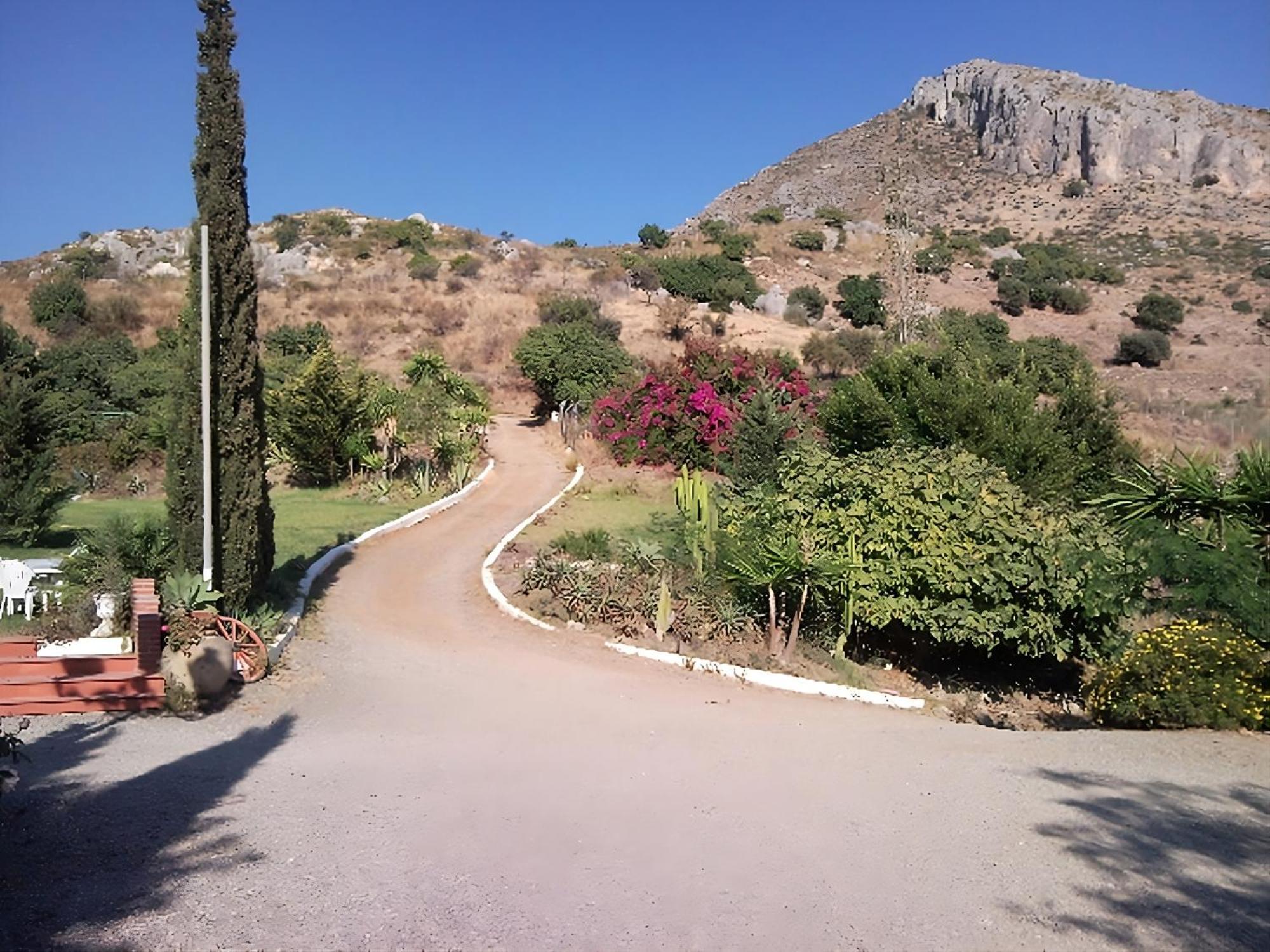 Finca Santa Matilde มาลากา ภายนอก รูปภาพ